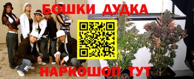 спиды Аргун