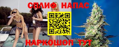 спиды Аргун