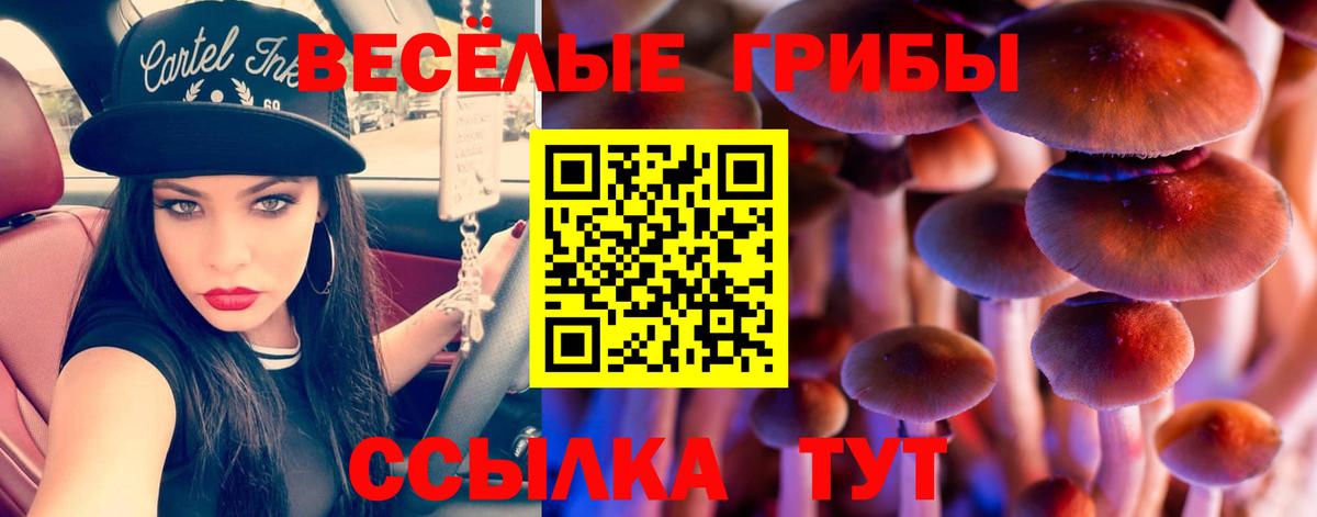 Вязьма  Галлюциногенные грибы MAGIC MUSHROOMS  Вход с VPN 